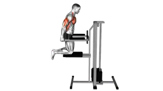 Assisted Chest Dip (kneeling)