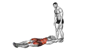 Assisted Lying Leg Raise With Lateral Throw Down exercise