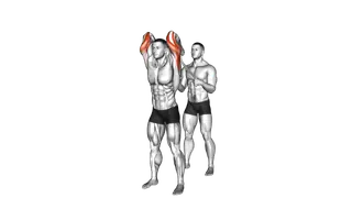 Assisted Standing Triceps Extension (with towel) exercise