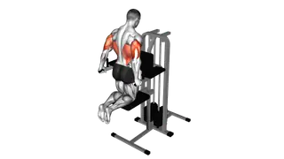 Assisted Triceps Dip (kneeling) exercise