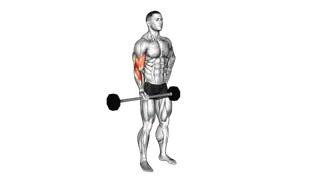 Barbell Alternate Biceps Curl