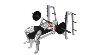 Barbell Bench Press exercise