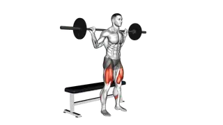 Barbell Bench Squat exercise