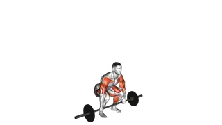 Barbell Clean and Press exercise