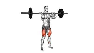 Barbell Clean grip Front Squat exercise