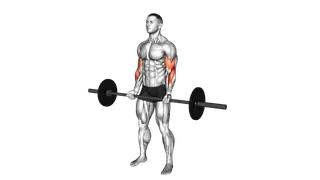 Barbell Curl
