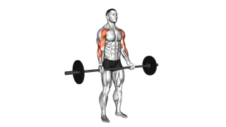 Barbell Drag Curl exercise
