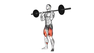 Barbell Front Chest Squat