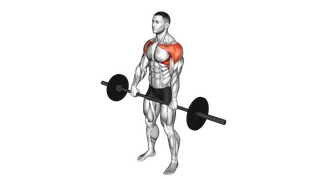 Barbell Front Raise exercise