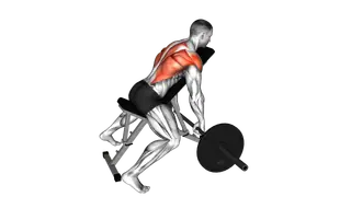 Barbell Incline Row exercise