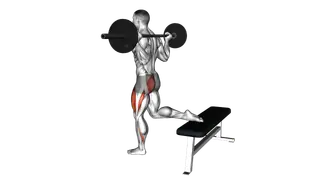Barbell One Leg Squat exercise