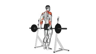 Barbell Rear Delt Raise