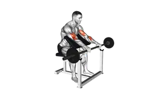 Barbell Reverse Preacher Curl exercise