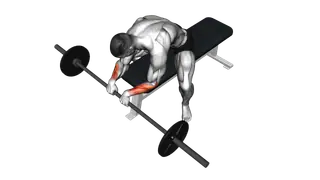 Barbell Reverse Wrist Curl exercise