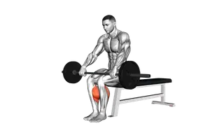 Barbell Seated Calf Raise exercise