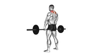 Barbell Shrug