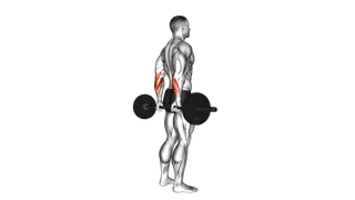 Barbell Standing Back Wrist Curl exercise