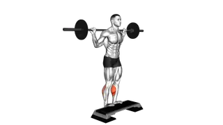 Barbell Standing Leg Calf Raise exercise