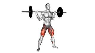 Barbell Wide Squat exercise