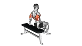 Bench Dip (knees bent) exercise