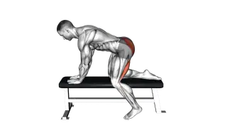 Bench Hip Extension exercise