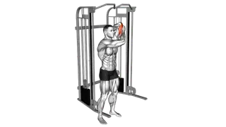 Cable Alternate Triceps Extension exercise