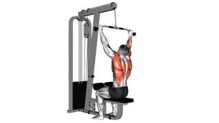 Cable Bar Lateral Pulldown exercise