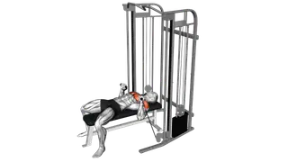 Cable Bench Press exercise