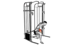 Cable Concentration Extension (on knee) exercise
