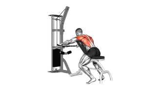 Cable Decline Seated Wide grip Row exercise