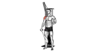 Cable Forward Raise exercise