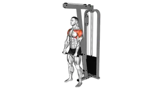 Cable Front Raise exercise