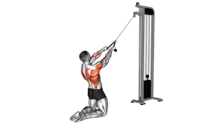 Cable High Row (kneeling rope attachment) exercise