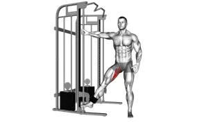 Cable Hip Adduction exercise