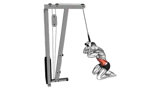 Cable Kneeling Crunch exercise