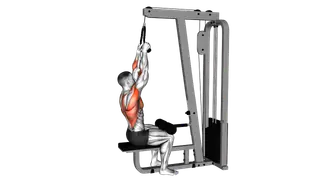 Cable Lateral Pulldown (with rope attachment) exercise