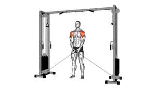Cable Lateral Raise