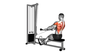Cable Low Seated Row exercise