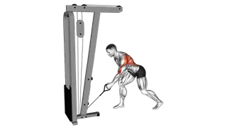 Cable One Arm Bent over Row exercise