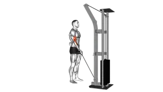 Cable One Arm Curl exercise