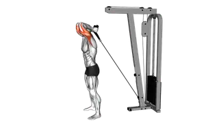 Cable Overhead Triceps Extension (rope attachment)