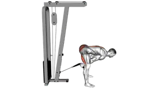 Cable Pull Through (with rope) exercise