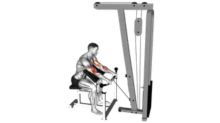 Cable Reverse Preacher Curl exercise