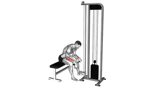 Cable Reverse Wrist Curl exercise