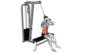 Cable Seated Crunch exercise