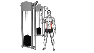 Cable Side Crunch exercise