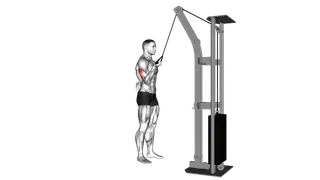 Cable Standing One Arm Triceps Extension exercise