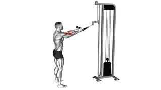 Cable Standing Pulldown (with rope) exercise