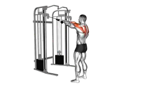 Cable Standing Rear Delt Row (with rope) exercise