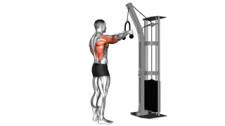 Cable Straight Arm Pulldown (with rope) exercise